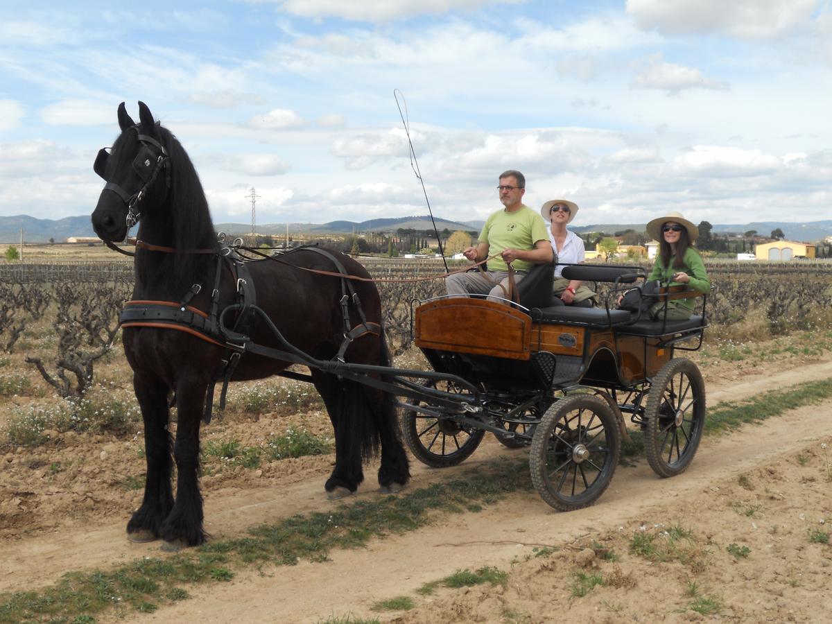 Hotel Rural Cal Ruget Vilobi Del Penedes Екстериор снимка